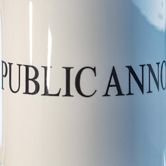 PUBLIC ANNOUNCEMENT 15oz Mug